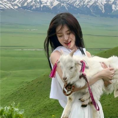 都市之君临天下